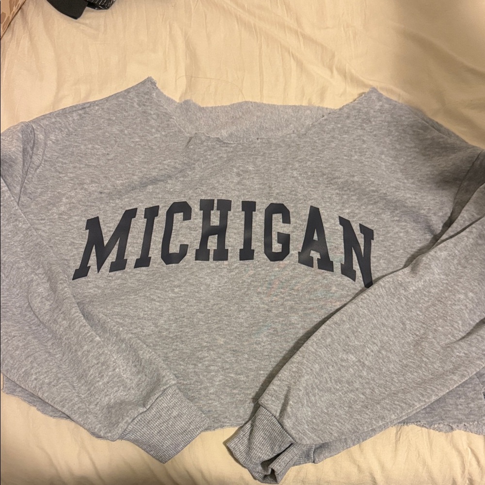 Gray Michigan Sweatshirt